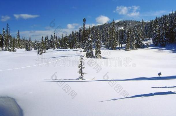 滑雪小路采用天堂草地,不允许的高原,斯特拉斯科纳专业人员