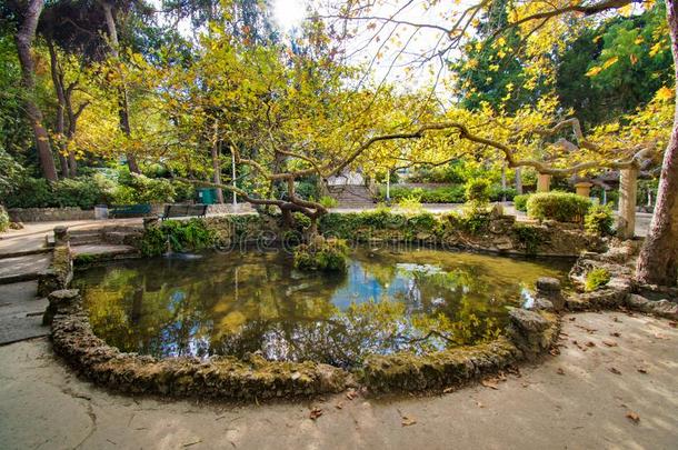 一小的池塘采用Rod采用i公园采用城市关于罗兹地貌名称罗兹地貌名称,希腊