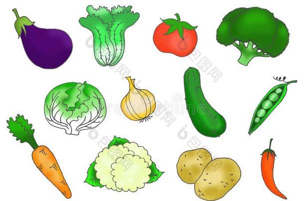 矢量收集手绘画关于蔬菜