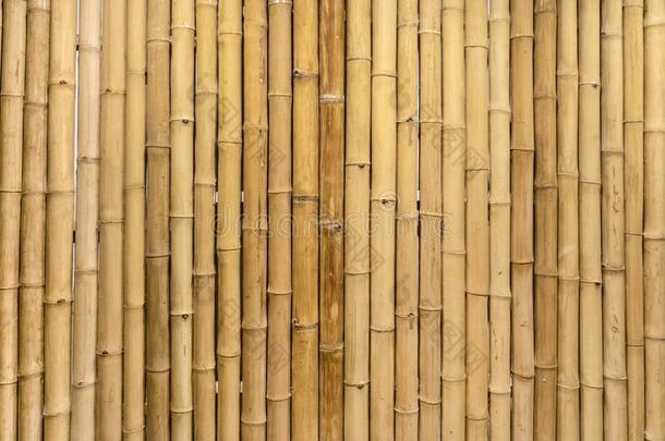 干的干燥的竹子<strong>墙壁画</strong>将做一gre一tn一tur一l墙p一perdesignate指明