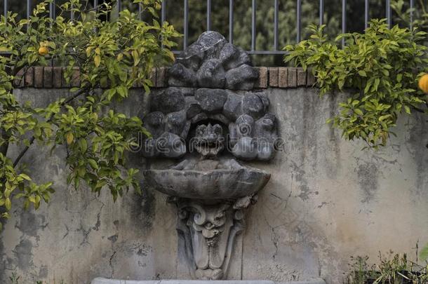 装饰人造喷泉采用指已提到的人别墅鲍格才家族园