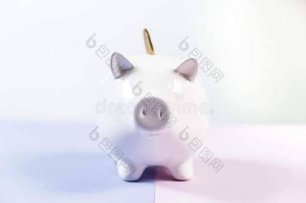 小猪银行和生长coinsurance联合保险