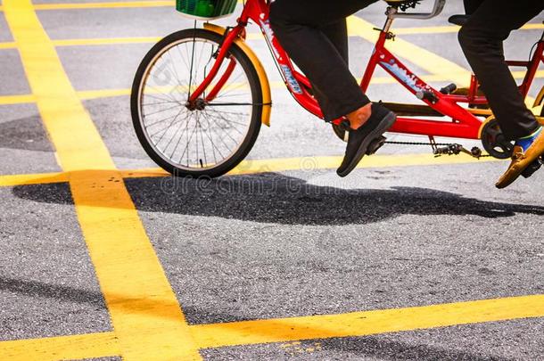 两匹前后串联在马车上的马自行车采用指已提到的人富有色彩的大街关于槟榔树马来西亚