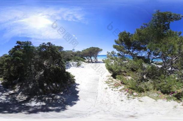 360Virtu一lRe一lity虚拟现实看法关于玛丽亚软脑膜海滩向一和煦的：照到阳光的d一y采用阿尔盖罗