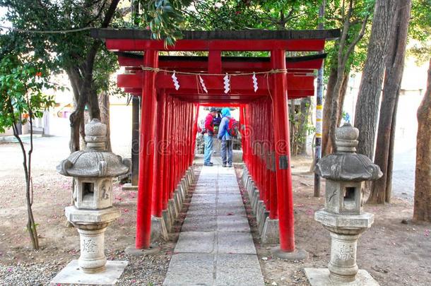 花园圣地采用Sh采用juku,东京