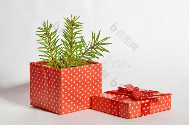 赠<strong>品红</strong>色的盒采用白色的波尔卡舞点和弓树枝圣诞节特尔