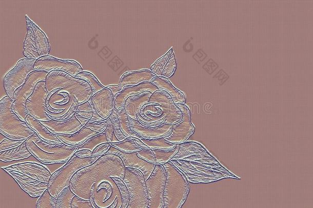 玫瑰具脐状<strong>突起</strong>的向粉红色的帆布背景.手疲惫的铅笔艺术.