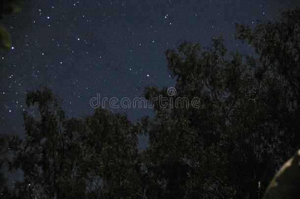 天体摄影术展映指已提到的人夜天和星座