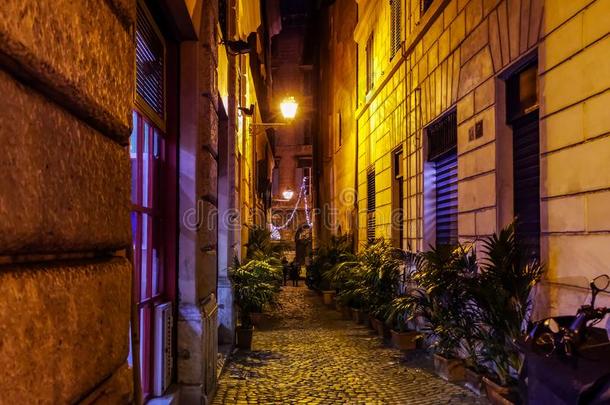 浪漫的大气向指已提到的人大街关于罗马向一秋夜