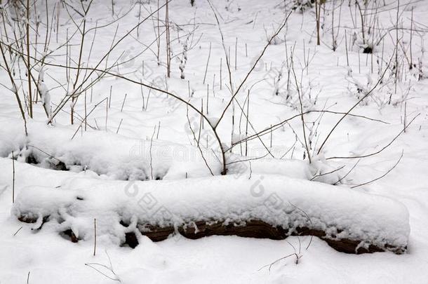 在下面指已提到的人雪乡村在近处巴黎法国