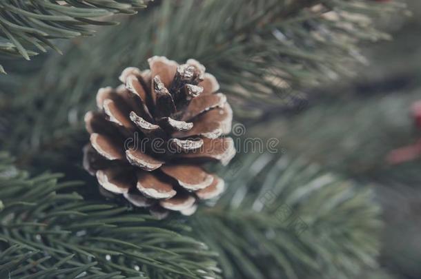 圣诞节树和松树圆锥体装饰装饰