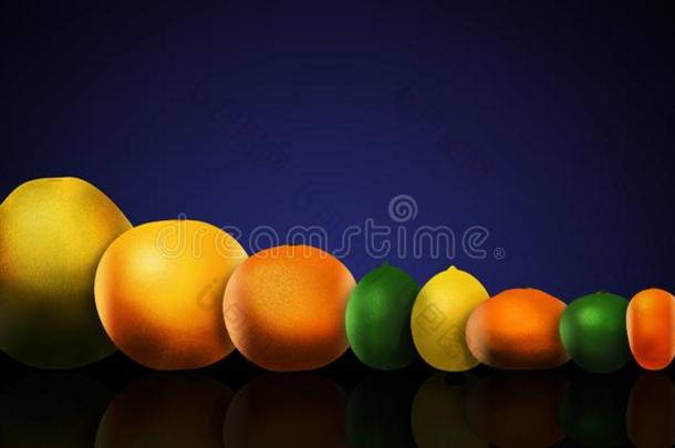 num.八流行的柑橘属果树成果是绘画左边的向立刻:柚子,