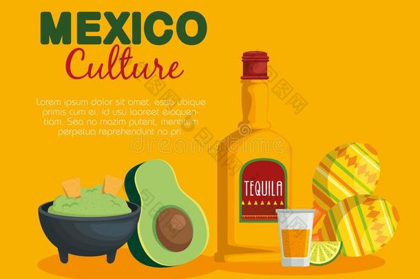 鳄梨调味汁和蒸馏酒墨西哥人食物和沙球