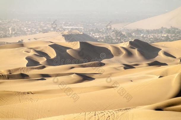 沙沙丘