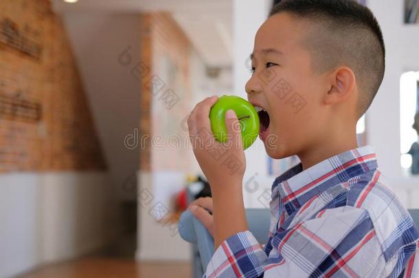 小的亚洲人小孩男孩小孩小孩ren尖锐刺人的吃苹果.小孩ho