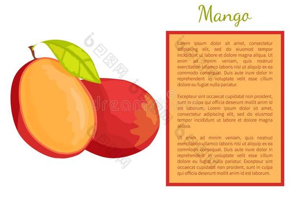 芒果异国的多汁的石头成果矢量海报文本