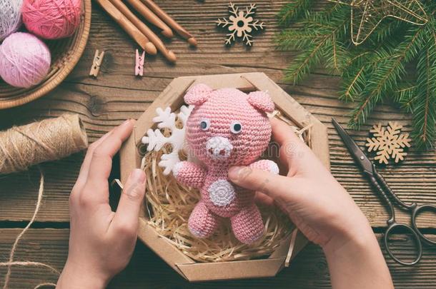 赠品包装材料-粉红色的猪,象征关于2019.幸福的新的年.钩针