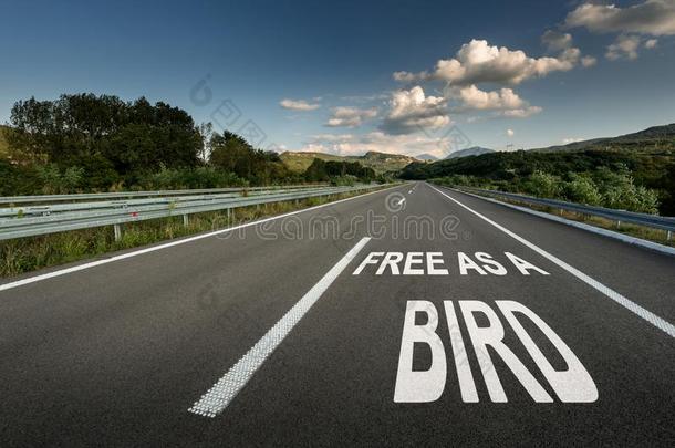 自由的同样地一鸟信息向同样地phalt公路路通过指已提到的人总数