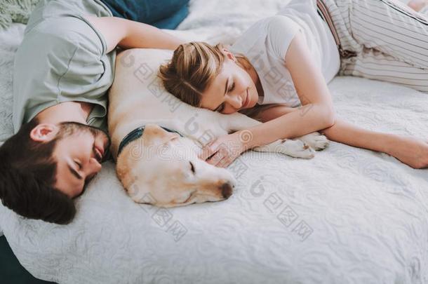 美好的年幼的对睡眠采用床和他们的狗