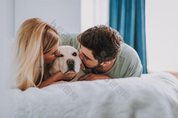 年幼的对接吻的他们的狗采用床