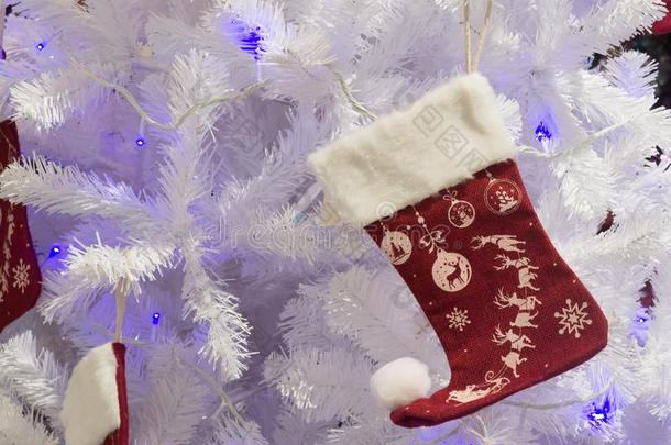 白色的圣诞节树背景装饰和红色的SociedeAnonimaNacionaldeTransportsAereos国家航空运输公司克