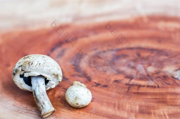 蘑菇向一木制的b一ckground和sp一ce为文本