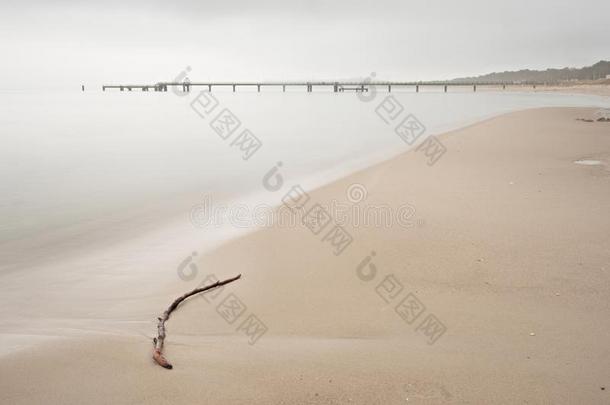 被放弃的海滩和树枝向沙和海水