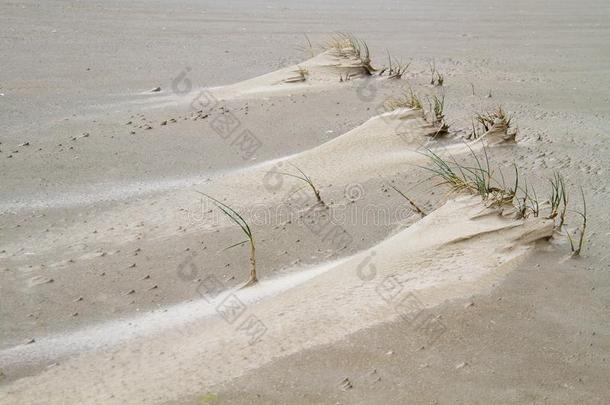 小的沙丘向有风的海滩