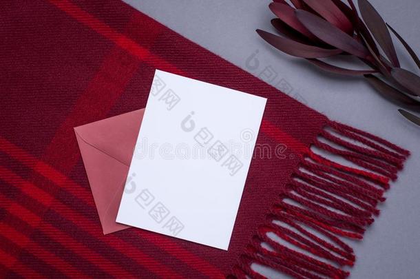 赠品卡片和col.紫红色包向一gr一yb一ckground