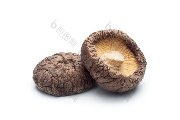 干燥的香菇蘑菇
