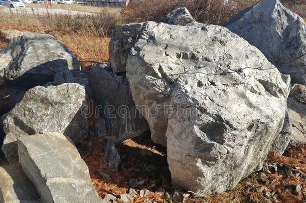 关在上面关于大大地石头或岩石<strong>不变</strong>的采用在之间绿色的树