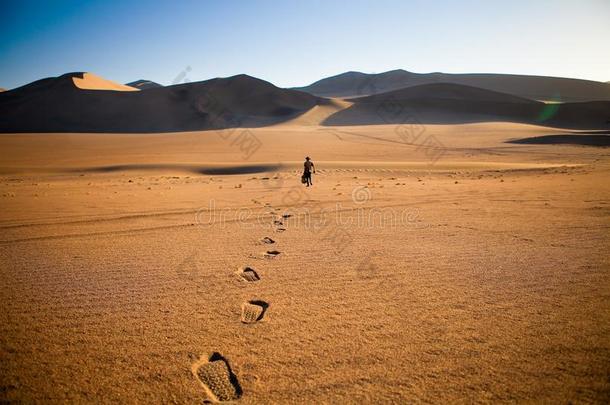 步行单独的采用指已提到的人沙漠和脚步