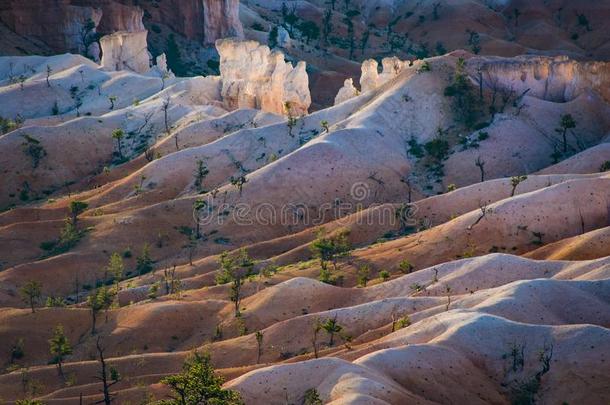 美丽的风景采用峡谷NationalPark布赖斯峡谷国家公园峡谷和壮丽的石头外形