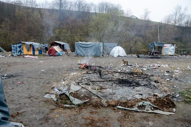 一人道主义的大灾难采用避难者一nd移居者营地采用博斯尼