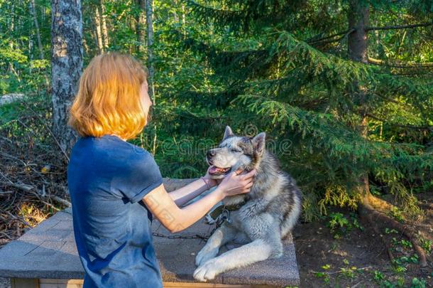 美丽的年幼的女士和她值得崇拜的漂亮的狗关于西伯利亚的<strong>遮罩</strong>