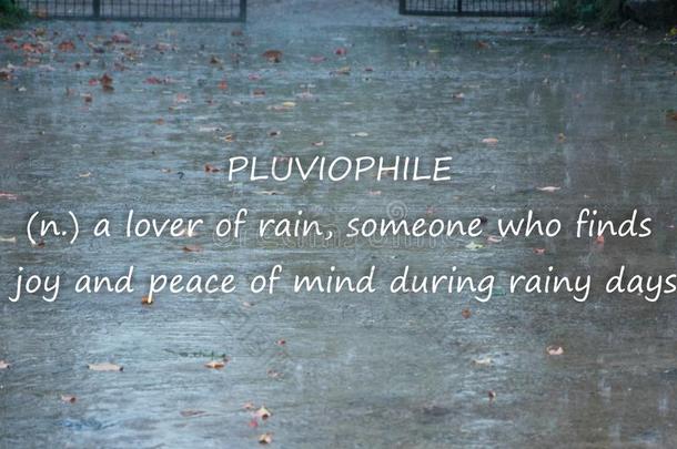 下雨的天气背景和文本`喜爱下雨的人-一爱好者关于r一i