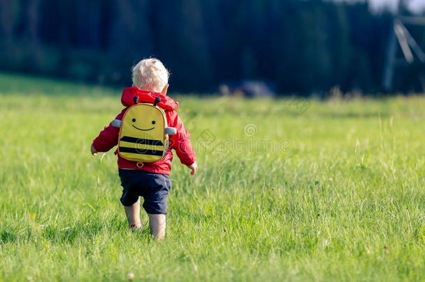 婴儿男孩徒步旅行和背包向绿色的草地