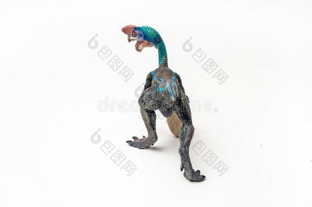 蓝色猛禽恐龙向白色的背景