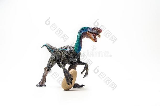 蓝色猛禽恐龙向白色的背景