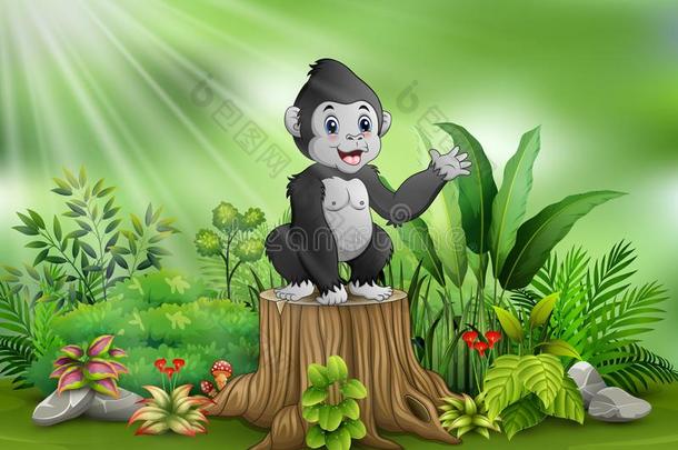 漂亮的婴儿大猩猩起立向树树桩和绿色的植物