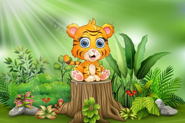 漂亮的婴儿老虎一次向树<strong>树桩</strong>和绿色的<strong>植物</strong>后台