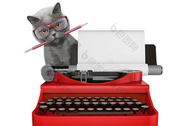 漂亮的猫是（be的三单形式打字向一打字机keybo一rd.Isol一ted向白色的