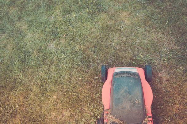 红色的草地割草机锋利的绿色的草/红色的草地割草机锋利的绿色的