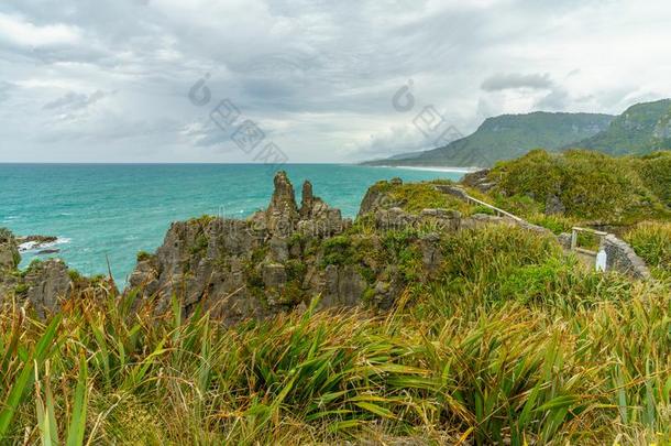 普纳凯基烙饼岩石,西海岸,新的西兰岛41