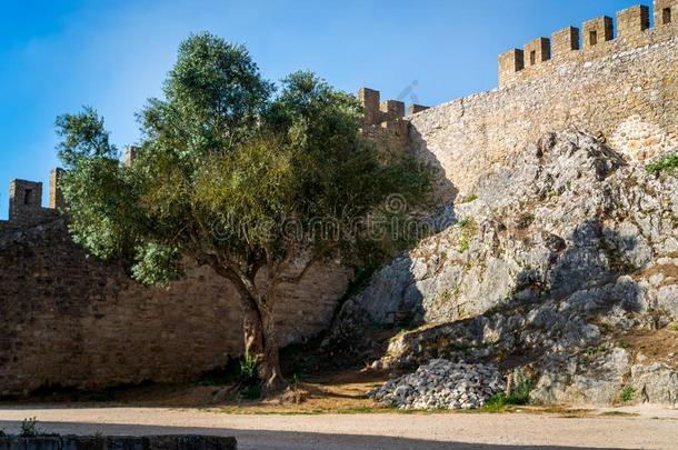 中古的城堡采用指已提到的人葡萄牙人村民关于奥比杜什