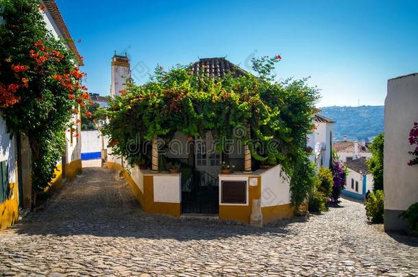 舒适的狭隘的大街关于老的城镇奥比杜什,葡萄牙