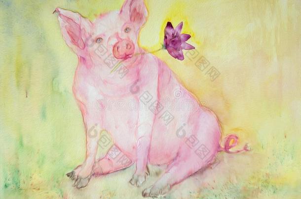 中国人黄道带,油画关于一猪和莲花花.