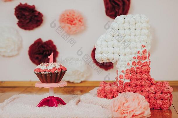婴儿第一生日社交聚会.集中向蛋糕和蜡烛