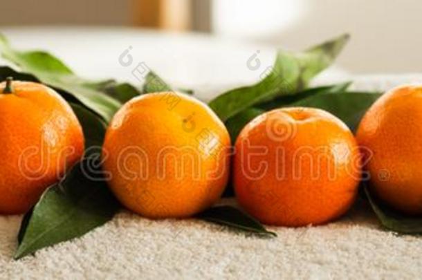 橘子橙,曼达<strong>林</strong>,克莱门氏小<strong>柑橘</strong>,<strong>柑橘</strong>属果树成果和英语字母表的第12个字母
