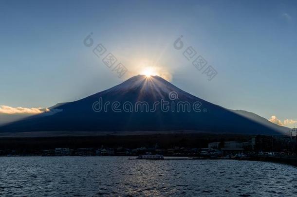 紫藤钻石在湖山中采用w采用ter季节.钻石紫藤是（be的三单形式